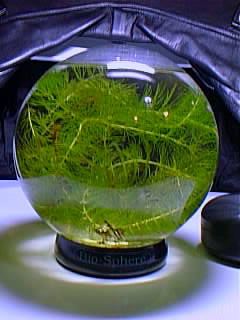 Bio-Sphere