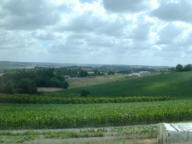 On road between Moissac and Cahors