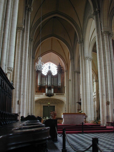 Nave and organ in St. Peter's