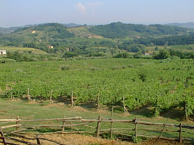 Tuscan countryside around winery