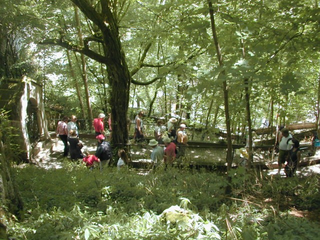 Stations of the Cross