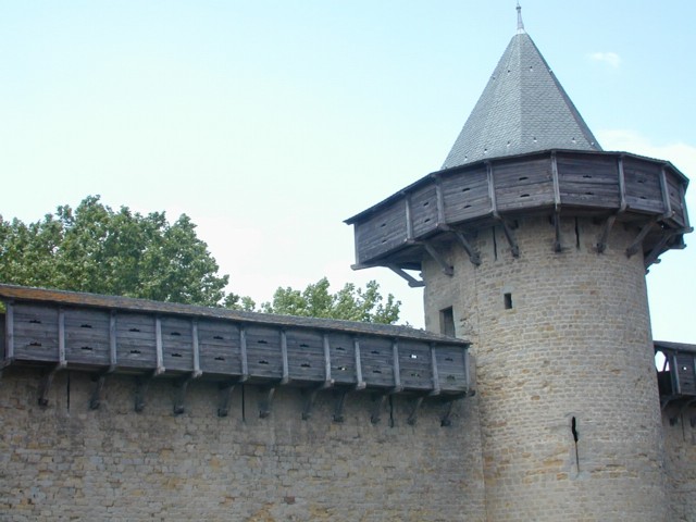 Wooden archer shields