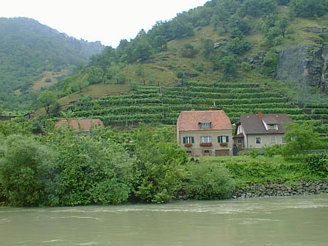 Farm along Danube